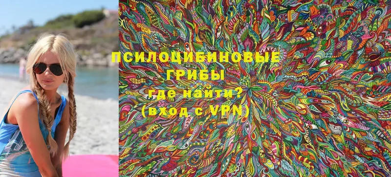 купить закладку  Энгельс  Галлюциногенные грибы Cubensis 